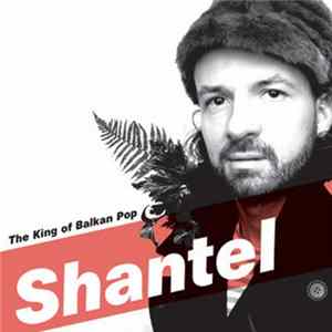 Shantel - The King Of Balkan Pop FLAC