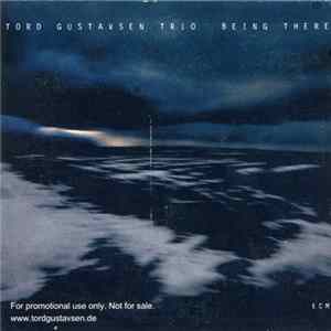 Tord Gustavsen Trio / Eberhard Weber - Vicar Street / Syndrome FLAC