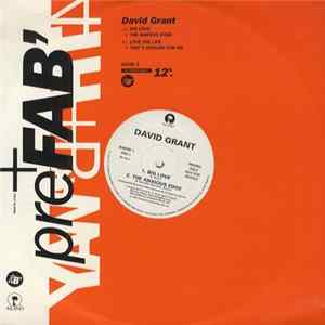 David Grant - Big Love FLAC