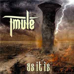 T-Mule - As It Is FLAC
