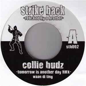 Collie Budz / Alborosie - Tomorrows Another Day Rmx / Police Rmx FLAC