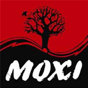 Various - Moxi Tools Vol 10 FLAC