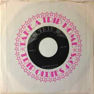 The Beach Boys - Surfin FLAC