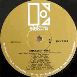 Dave Ray - Snaker's Here FLAC
