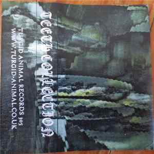 Teeth Collection - Untitled FLAC