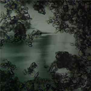 Aberva - Lisgencenive FLAC