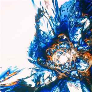 Widen - Chipspace FLAC