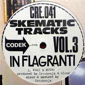 In Flagranti - Skematic Tracks Vol.3 FLAC