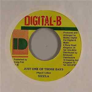 Sizzla - Just One Of Those Days FLAC