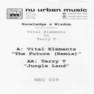 Vital Elements Vs Terry T - The Future (Remix) / Jungle Land FLAC