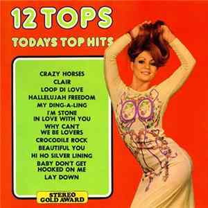 Unknown Artist - 12 Tops - Todays Top Hits FLAC