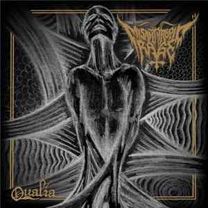 Misanthropic Rage - Qualia FLAC