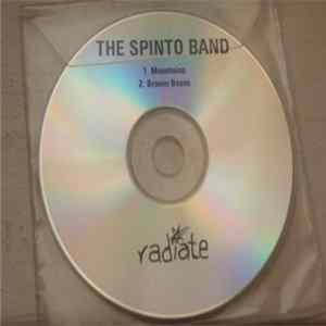 The Spinto Band - Mountains FLAC