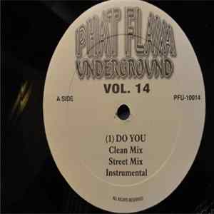 Various - Phat Flava Underground Vol. 14 FLAC
