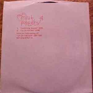 Meat Puppets - Swimming Ground FLAC