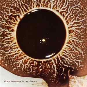 Ekiwojjolo - Weird Mushrooms In My Garden FLAC