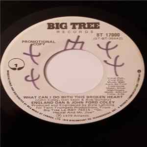 England Dan & John Ford Coley - What Can I Do With This Broken Heart FLAC