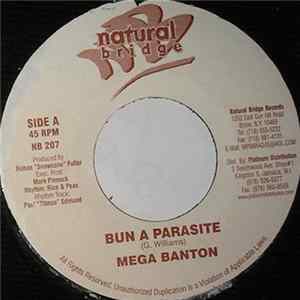 Mega Banton / Alozade - Bun A Parasite / Not Ready For Di Hype FLAC