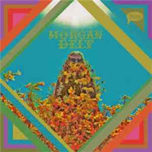 Morgan Delt - Morgan Delt FLAC