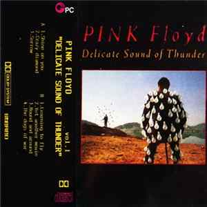 Pink Floyd - Delicate Sound Of Thunder Vol.I FLAC