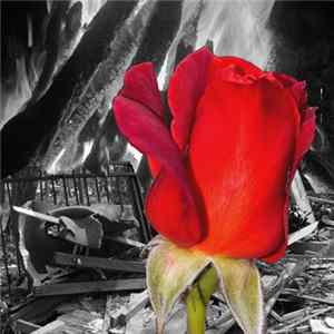 Rose Red / Upheaval - Disambiguation FLAC