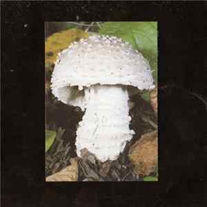 Monos - Window FLAC