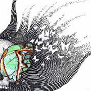 The Luck Of Eden Hall - Butterfly Revolutions FLAC