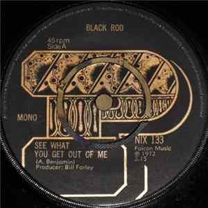 Black Rod - See What You Get Out Of Me FLAC