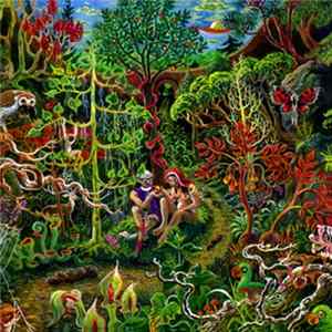 Colin Lloyd Tucker - The Desire Path FLAC