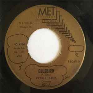 Prince James Quartette - Bluebird / Pumpkin Place FLAC