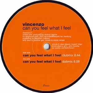 Vincenzo - Can You Feel What I Feel FLAC