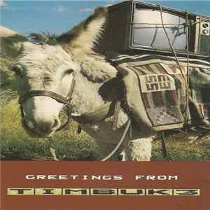 Timbuk 3 - Greetings From Timbuk 3 FLAC