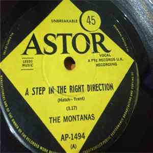 The Montanas - Step In The Right Direction FLAC