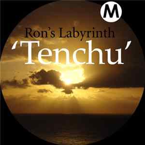 Ron's Labyrinth - Tenchu FLAC