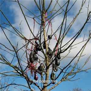 Moby - The Poison Tree FLAC