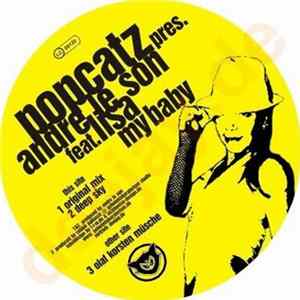 Popcatz Pres. Andre Le Son Feat. Lisa - My Baby FLAC
