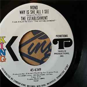 The Establishment - Why Is She All I See FLAC