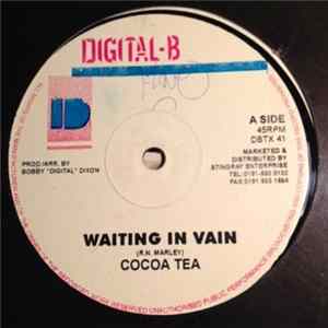 Cocoa Tea - Waiting In Vain FLAC
