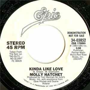 Molly Hatchet - Kinda Like Love FLAC