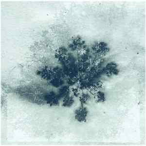 Simeon Walker - Mono FLAC