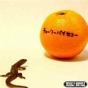 Charley Bicycle - Charley Bicycle FLAC
