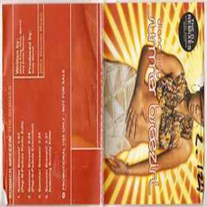 Diana King - Summer Breezin' (The DJ Remixes) FLAC