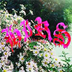 The HIRS Collective - Friends Lovers Favorites FLAC