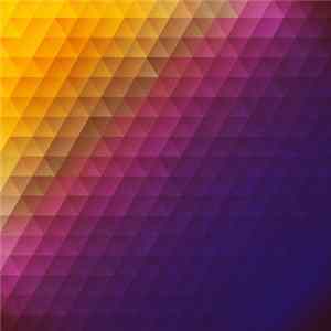 36 - Circuit Bloom FLAC