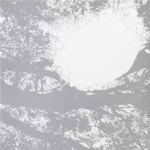 Comets On Fire - Field Recordings From The Sun FLAC