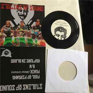 The Stalins Of Sound - Pool Of Piranha FLAC