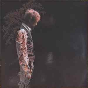 Robert Rausch Und Seine Zustände - Traumata Tataratata FLAC