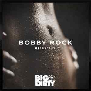 Bobby Rock - MeSoHorny FLAC