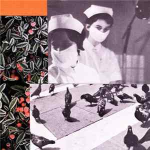 Visitation - Imperfect Cognition FLAC