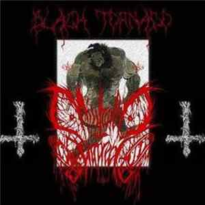 Misshapen Hatred - Black Tornado FLAC